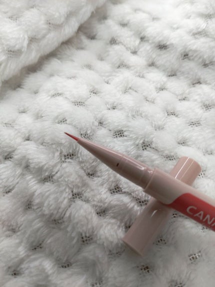 3wayスリムアイルージュライナー/キャンメイク/リキッドアイライナーを使ったクチコミ(2枚目)