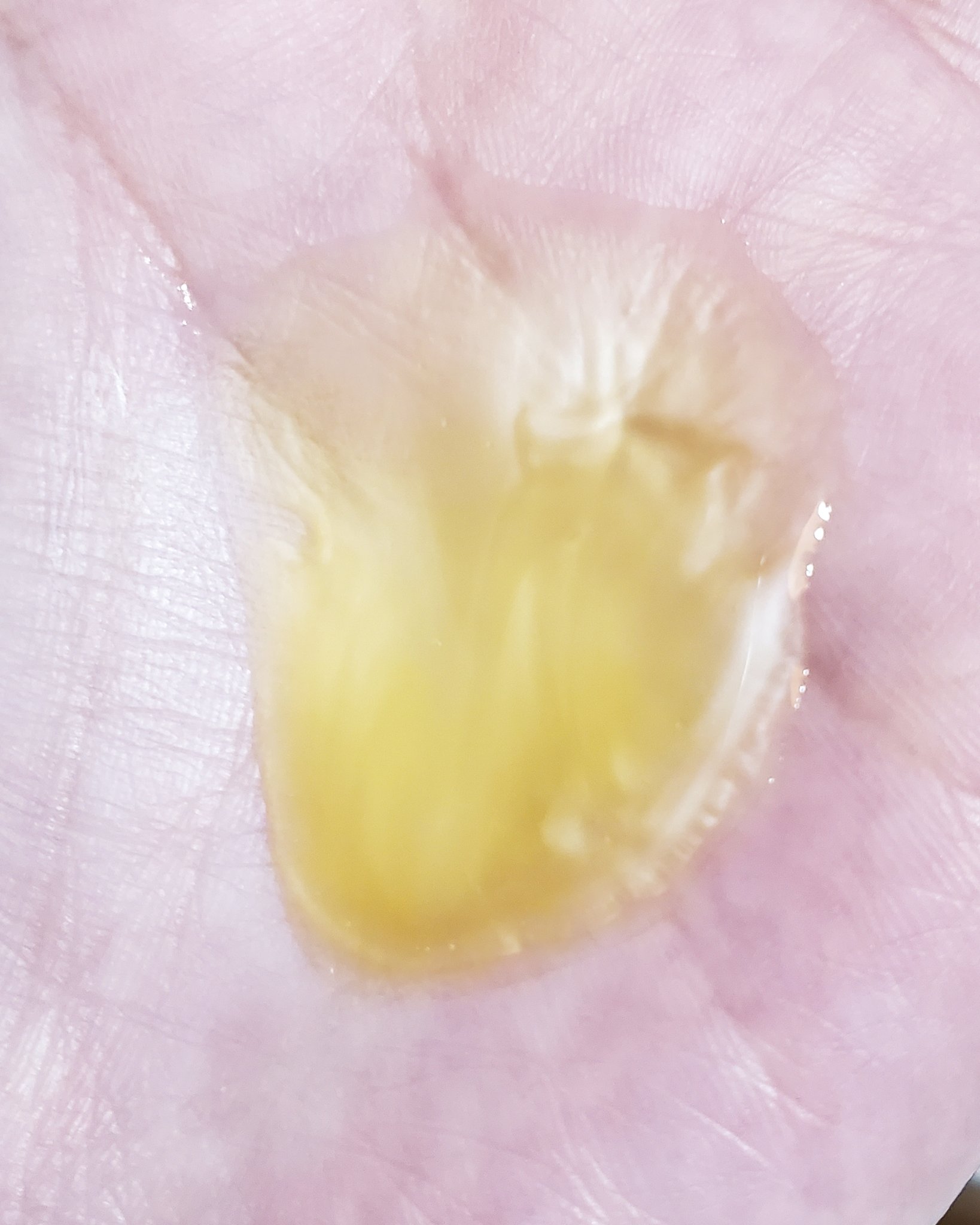 ゴートミルクボディシャンプー/GOAT'S MILK/ボディソープを使ったクチコミ（2枚目）