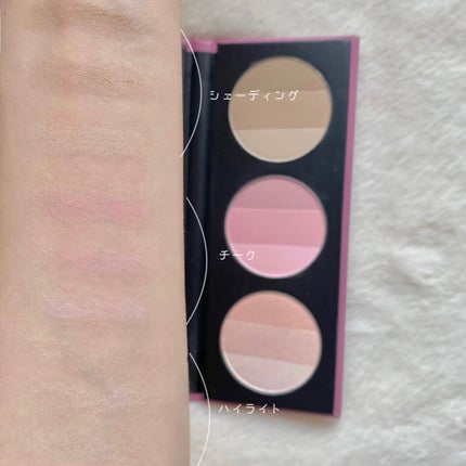 バイロダン アートパレットⅡ/too cool for school/メイクアップキットを使ったクチコミ(5枚目)