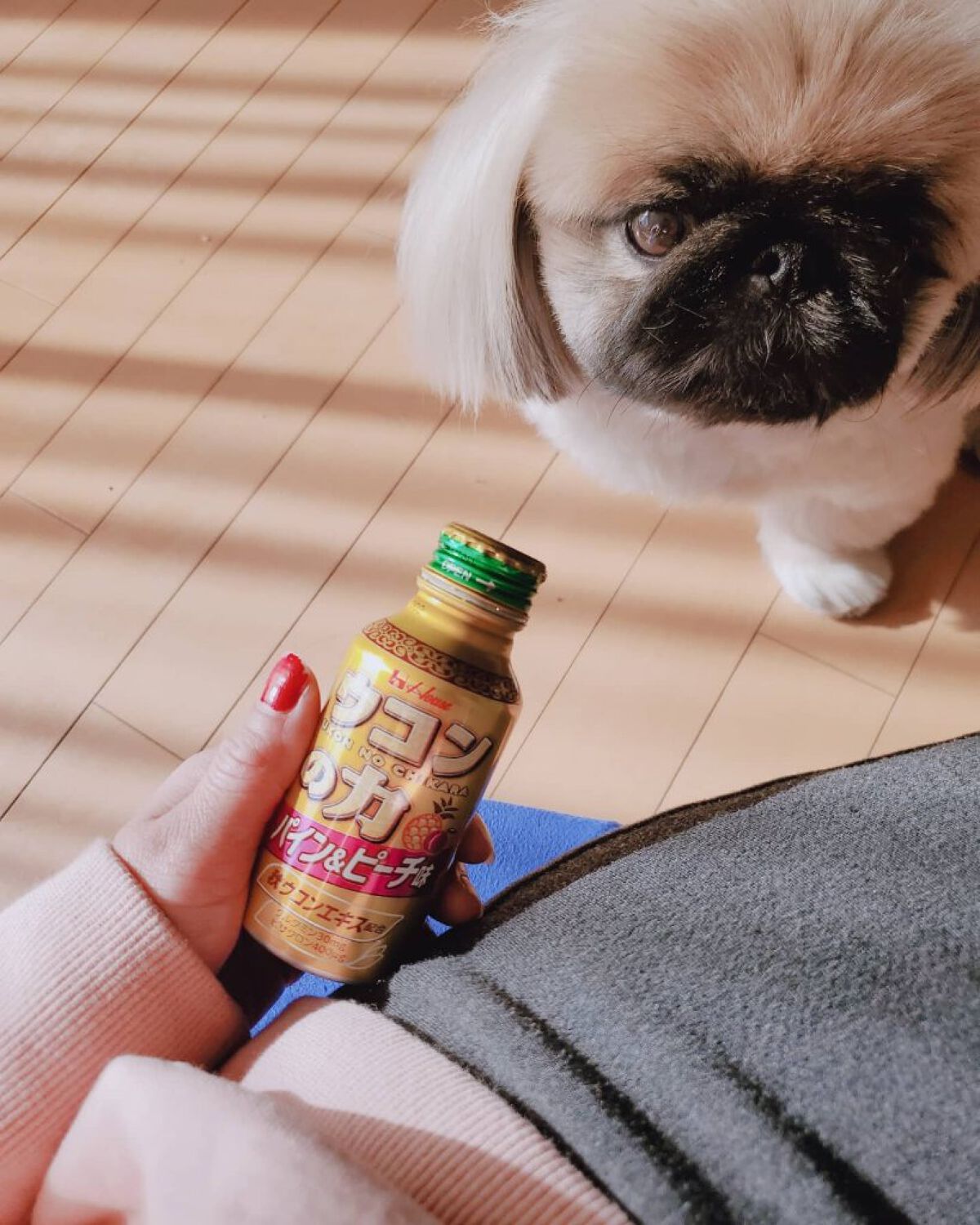 ウコンの力/ハウスウェルネスフーズ/栄養ドリンクを使ったクチコミ（1枚目）