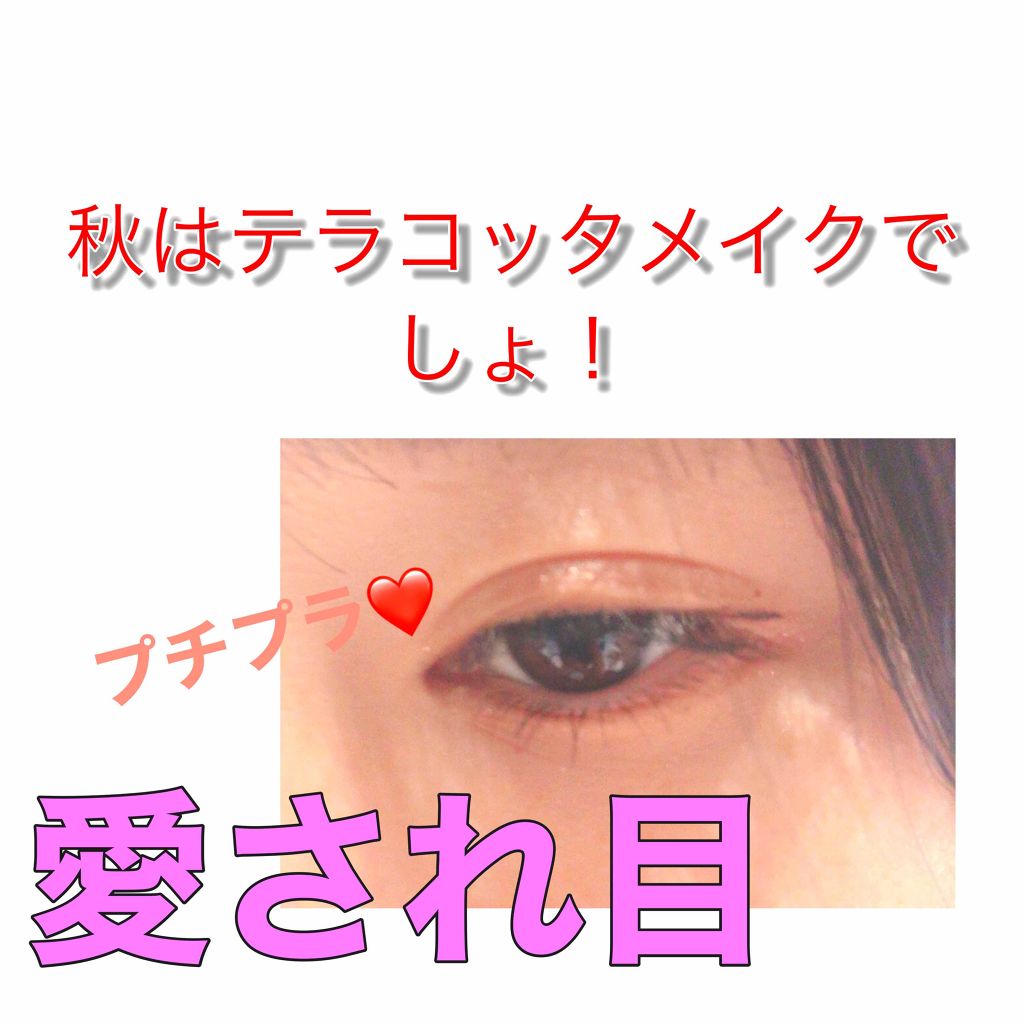 【旧品】パーフェクトスタイリストアイズ/キャンメイク/アイシャドウパレットを使ったクチコミ（1枚目）