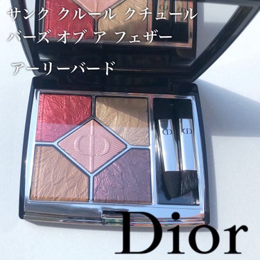 サンク クルール クチュール＜バーズ オブ ア フェザー＞/Dior/パウダーアイシャドウを使ったクチコミ（1枚目）