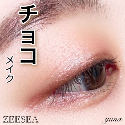 クォーツ 9色アイシャドウパレット(ドリームランドアイシャドウ)/ZEESEA/アイシャドウパレットを使ったクチコミ(1枚目)