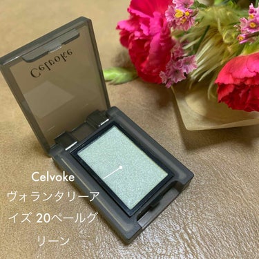 セルヴォーク ヴォランタリー アイズ 20 ペールグリーン/Celvoke/パウダーアイシャドウを使ったクチコミ（1枚目）