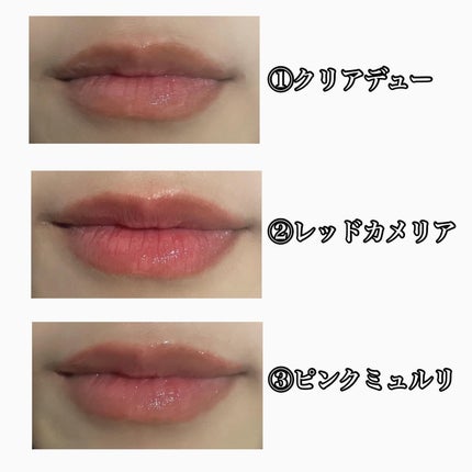 ナチュラルブルームリップオイルセラム 3色セット/PINATE/リップグロスを使ったクチコミ(4枚目)