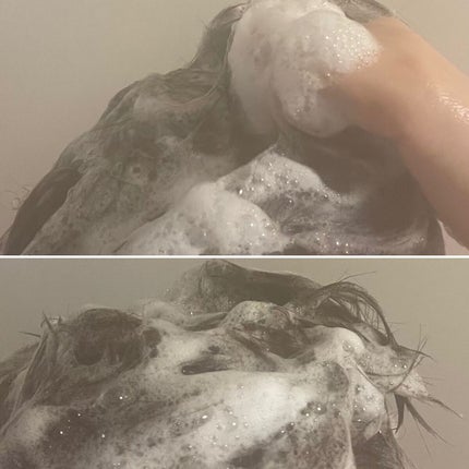 モイストアップ ジェル シャンプー/トリートメント/fuettarich (フエッタリッチ)/サロンシャンプーを使ったクチコミ(3枚目)