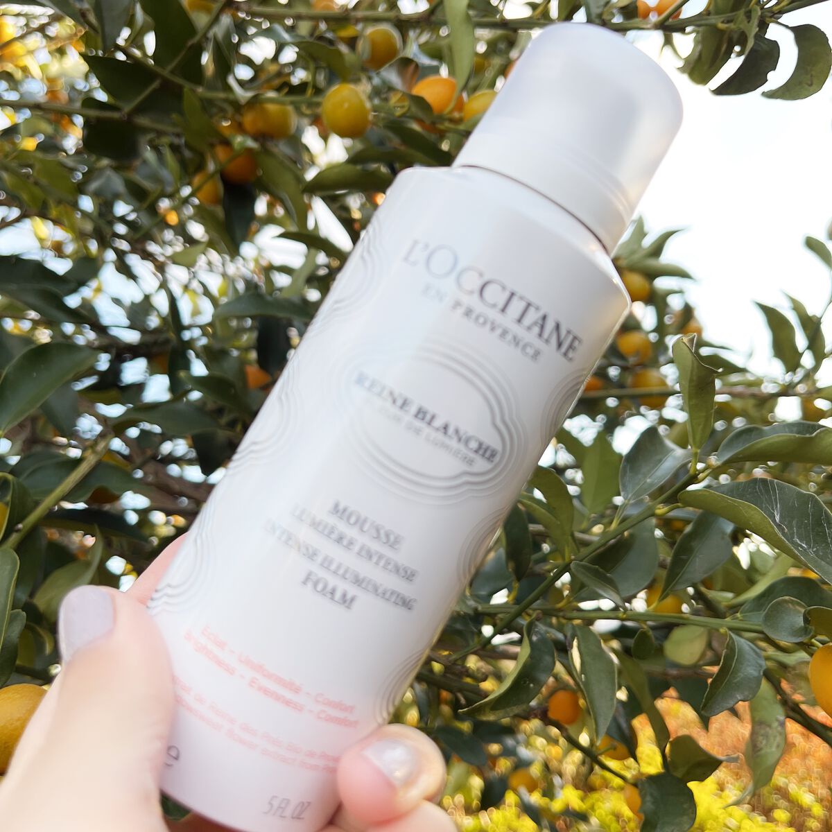 レーヌブランシュ イルミネイティングクレンジングフォーム/L'OCCITANE/洗顔フォームを使ったクチコミ(1枚目)