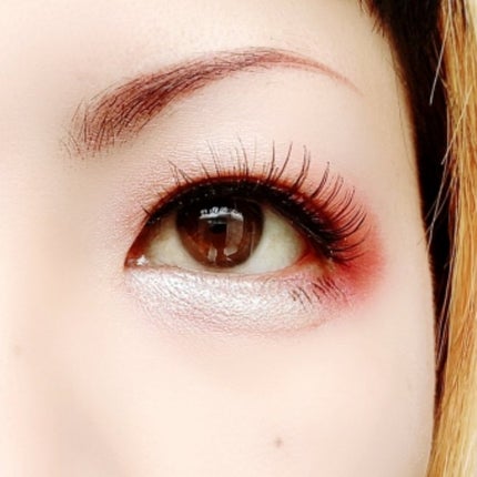 エクスプローラ12色 動物アイシャドウパレット/PERFECT DIARY/アイシャドウパレットを使ったクチコミ(6枚目)