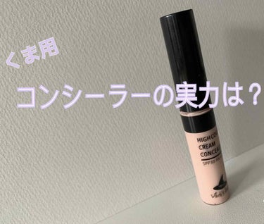 カバーパーフェクション チップコンシーラー/the SAEM/コンシーラーを使ったクチコミ（1枚目）