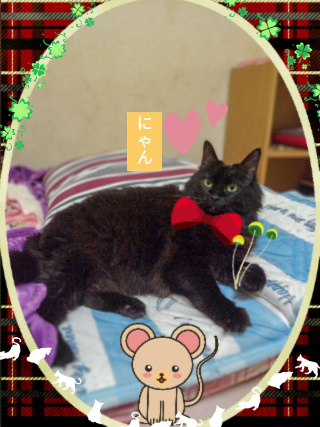 編み込みメーカー/セリア/ヘアケアグッズを使ったクチコミ（1枚目）