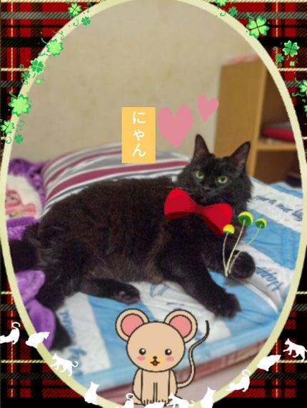 まとめ髪スティック レギュラー/マトメージュ/ヘアワックス・クリームを使ったクチコミ(1枚目)