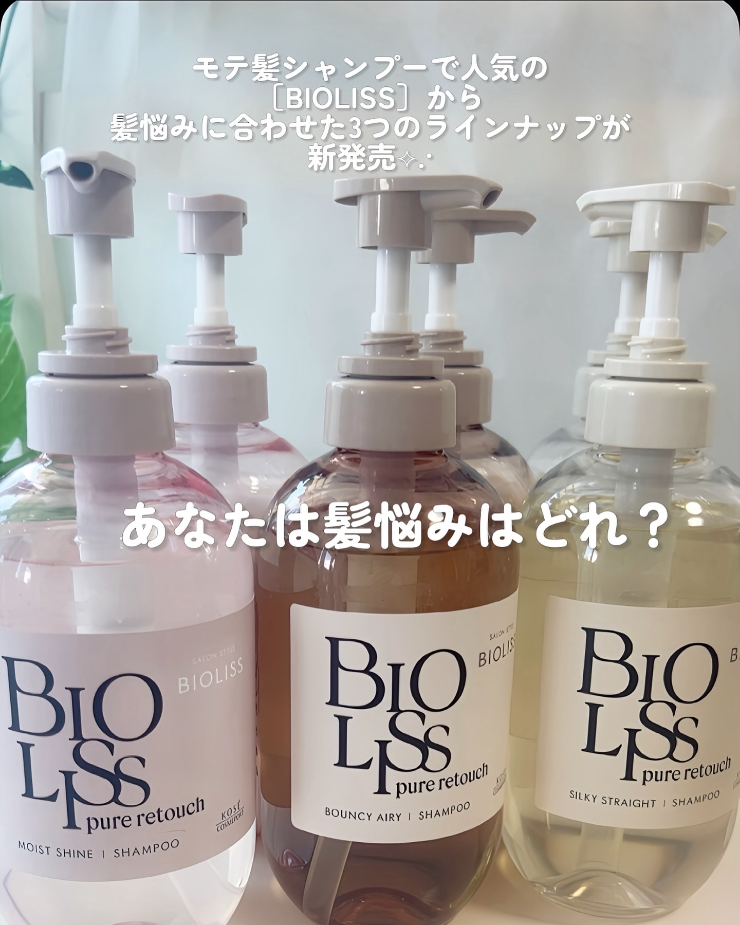 SS ビオリス ピュアレタッチ うねさぁら シャンプー/ヘアコンディショナー/SSビオリス/市販シャンプーを使ったクチコミ（2枚目）