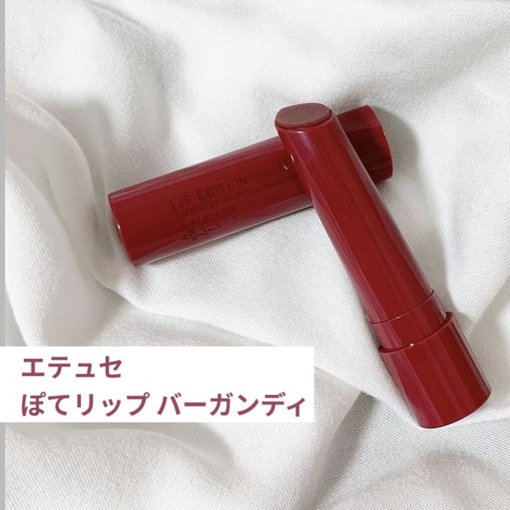 エテュセ リップエディション（プランパー）リッチスタイル/ヘルシースタイル/ettusais/リップケアを使ったクチコミ（1枚目）