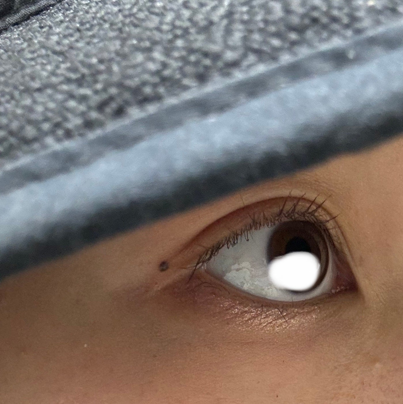 セパレートロングマスカラ/CEZANNE/マスカラを使ったクチコミ(5枚目)