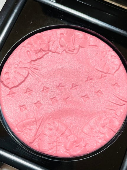 フラロッソ ルーチ ブラッシュ/アスタリフト/パウダーチークを使ったクチコミ(3枚目)