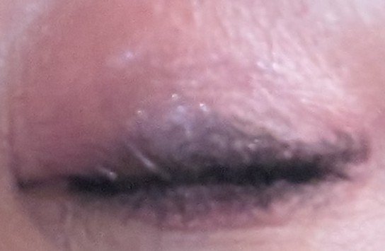 ラッシュエキスパンダー ロングロングロング/MAJOLICA MAJORCA/マスカラを使ったクチコミ（3枚目）