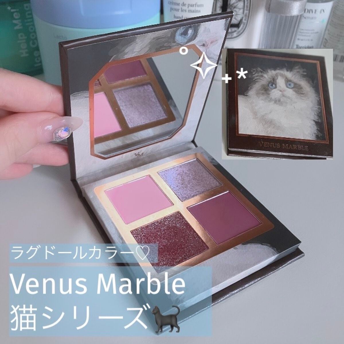 Venus Marble アイシャドウキャットシリーズ/Venus Marble/アイシャドウパレットを使ったクチコミ(1枚目)