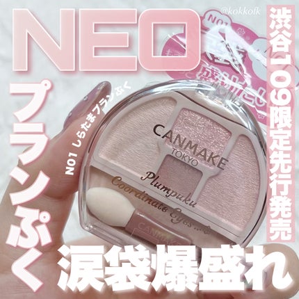 プランぷくコーデアイズ/キャンメイク/パウダーアイシャドウを使ったクチコミ(1枚目)