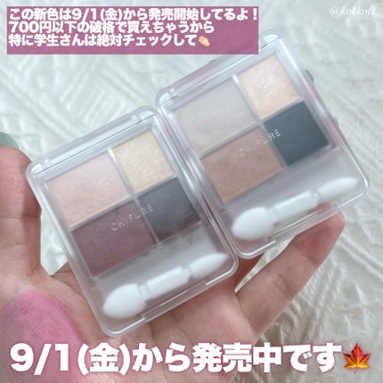 グラデーション アイシャドウ/ちふれ/アイシャドウパレットを使ったクチコミ(6枚目)