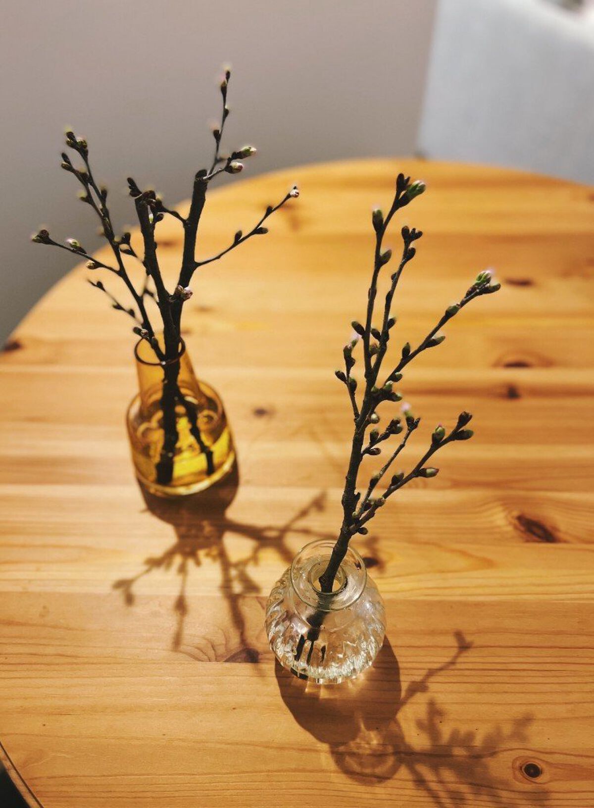 眉ティントSVR/Fujiko/眉ティントを使ったクチコミ（3枚目）