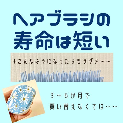 コンパクトスタイラー/TANGLE TEEZER/ヘアブラシを使ったクチコミ(1枚目)