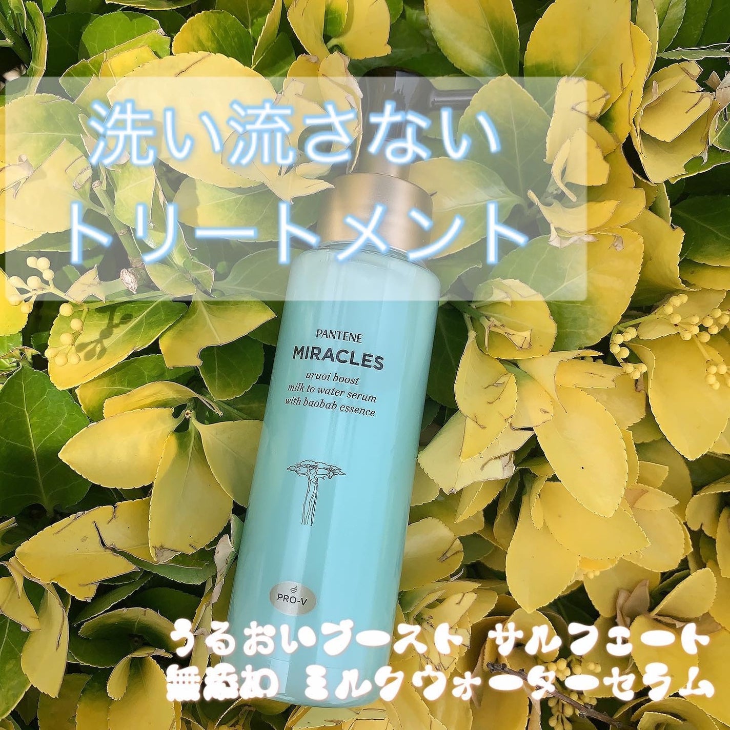 ミラクルズ うるおいブーストミルクウォーターセラム/パンテーン/アウトバストリートメントを使ったクチコミ(1枚目)