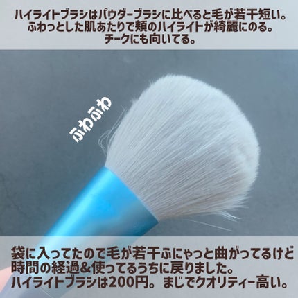 パウダーファンブラシ/ロージーローザ/メイクブラシを使ったクチコミ(7枚目)
