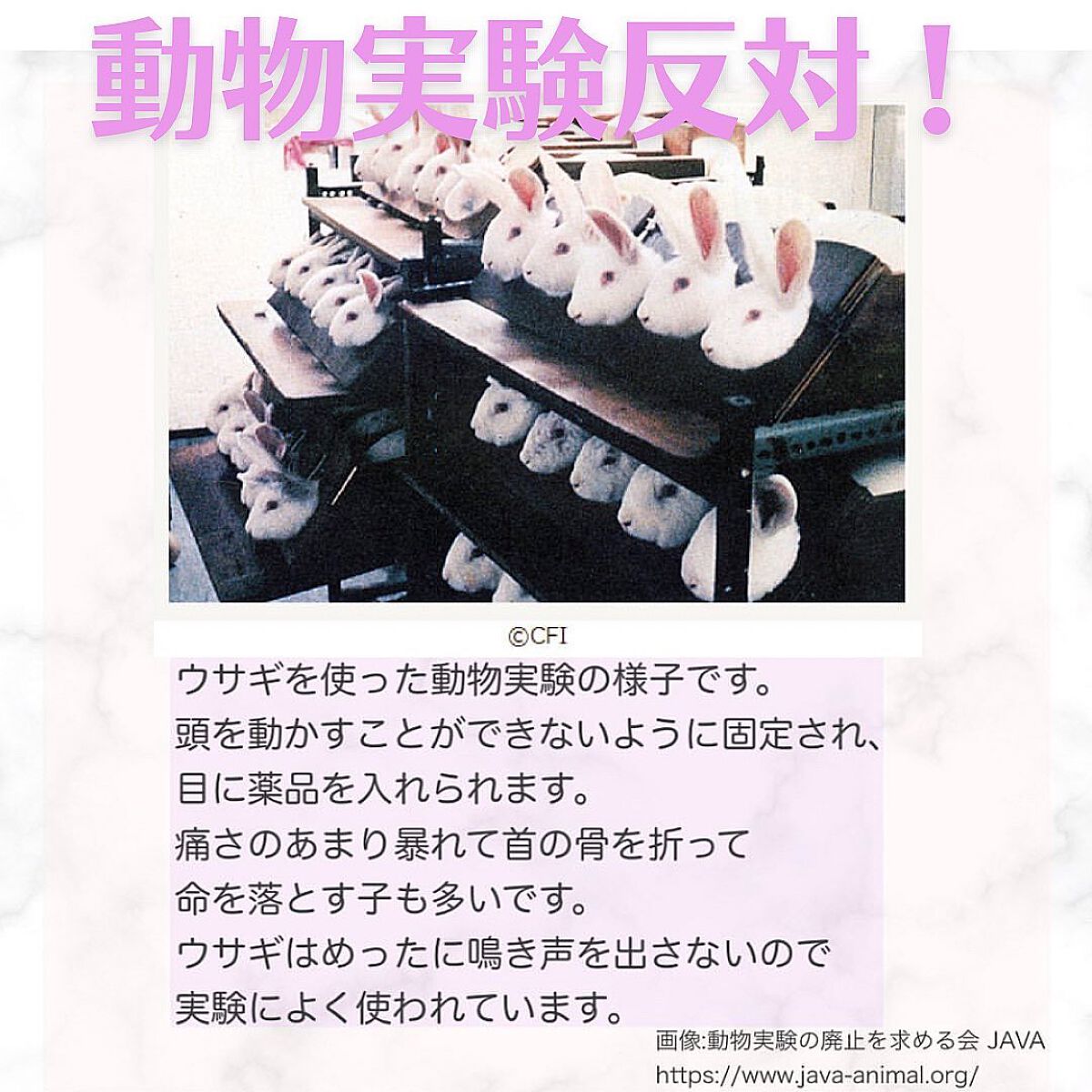 オーガニック ARトリートメント/soeff/シャンプー・コンディショナーを使ったクチコミ（3枚目）