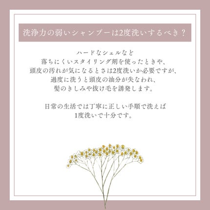 日本化粧品検定2級.3級対策テキスト/主婦の友社/書籍を使ったクチコミ(3枚目)