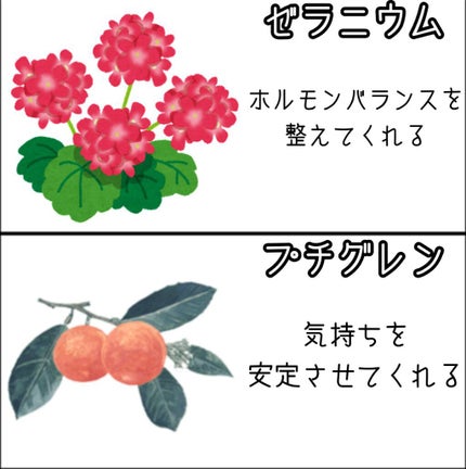 ピローアロマミスト/DAISO/香水(その他)を使ったクチコミ(3枚目)