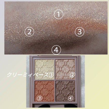 グロッシーリッチ アイズ N/Visée/アイシャドウパレットを使ったクチコミ(2枚目)
