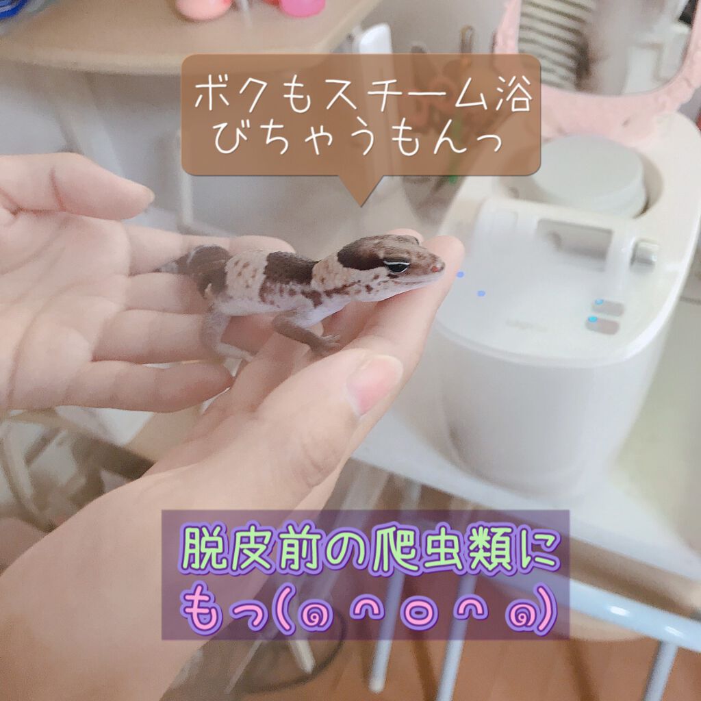 試してみた】サキナ サキナ ピノのリアルな口コミ・レビュー | LIPS 試してみた】サキナ サキナ ピノのリアルな口コミ・レビュー | LIPS