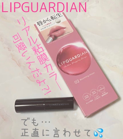 メロウラッピングルージュ/LIPGUARDIAN/口紅を使ったクチコミ(1枚目)