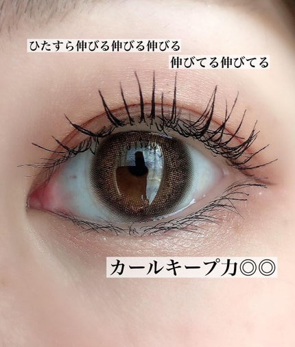 ラッシュエキスパンダー ロングロングロング/MAJOLICA MAJORCA/マスカラを使ったクチコミ(3枚目)