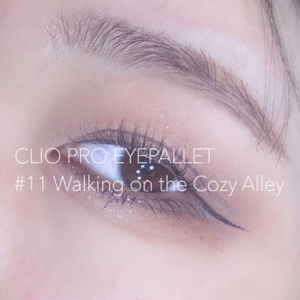 プロ アイ パレット/CLIO/アイシャドウパレットを使ったクチコミ(1枚目)