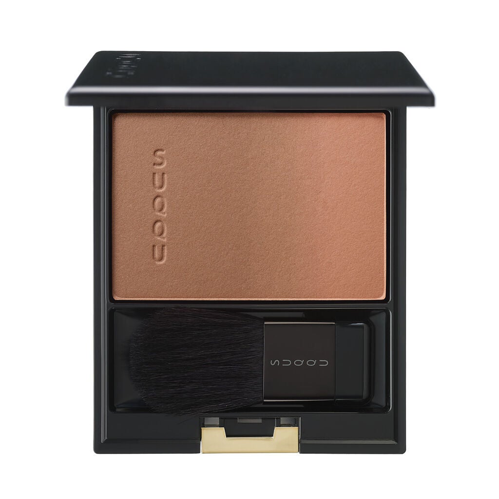 ピュア カラー ブラッシュ 129 冬木立<限定色>