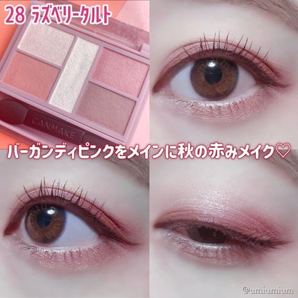 パーフェクトスタイリストアイズ/キャンメイク/アイシャドウパレットを使ったクチコミ(7枚目)