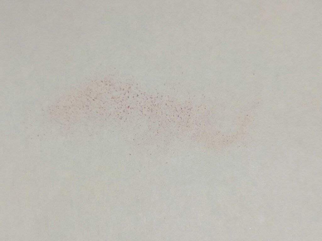 チーク カラー(ブラシ付) 270 ローズ系/ちふれ/パウダーチークを使ったクチコミ（2枚目）