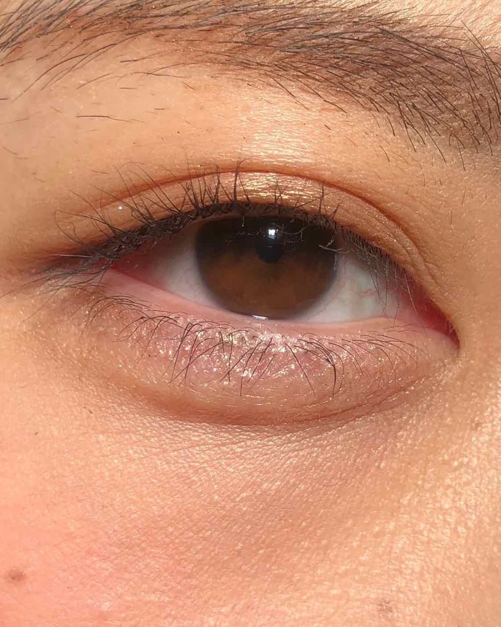 マジョルック(イルミネーター)/MAJOLICA MAJORCA/アイシャドウパレットを使ったクチコミ(1枚目)