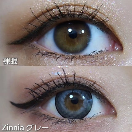myp ♡ フォロバします! on LIPS 「【Zinnia】COLOR:グレー\💙💙💙2023.06.07..」(6枚目)