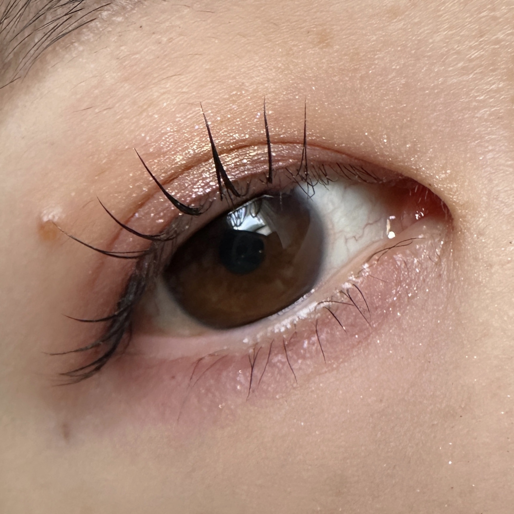 ブライトフューチャーボックス/KANEBO/単色アイシャドウを使ったクチコミ（2枚目）