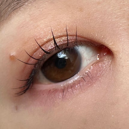 Eyeshadow 5 Colour Compacts/BYREDO/アイシャドウパレットを使ったクチコミ(2枚目)