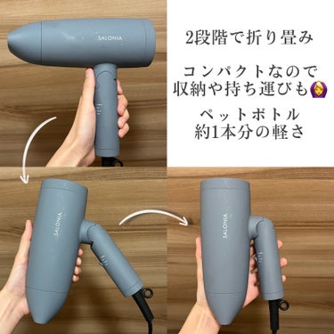 スピーディーイオンドライヤー グレー(WEB限定)/SALONIA/ドライヤーの画像