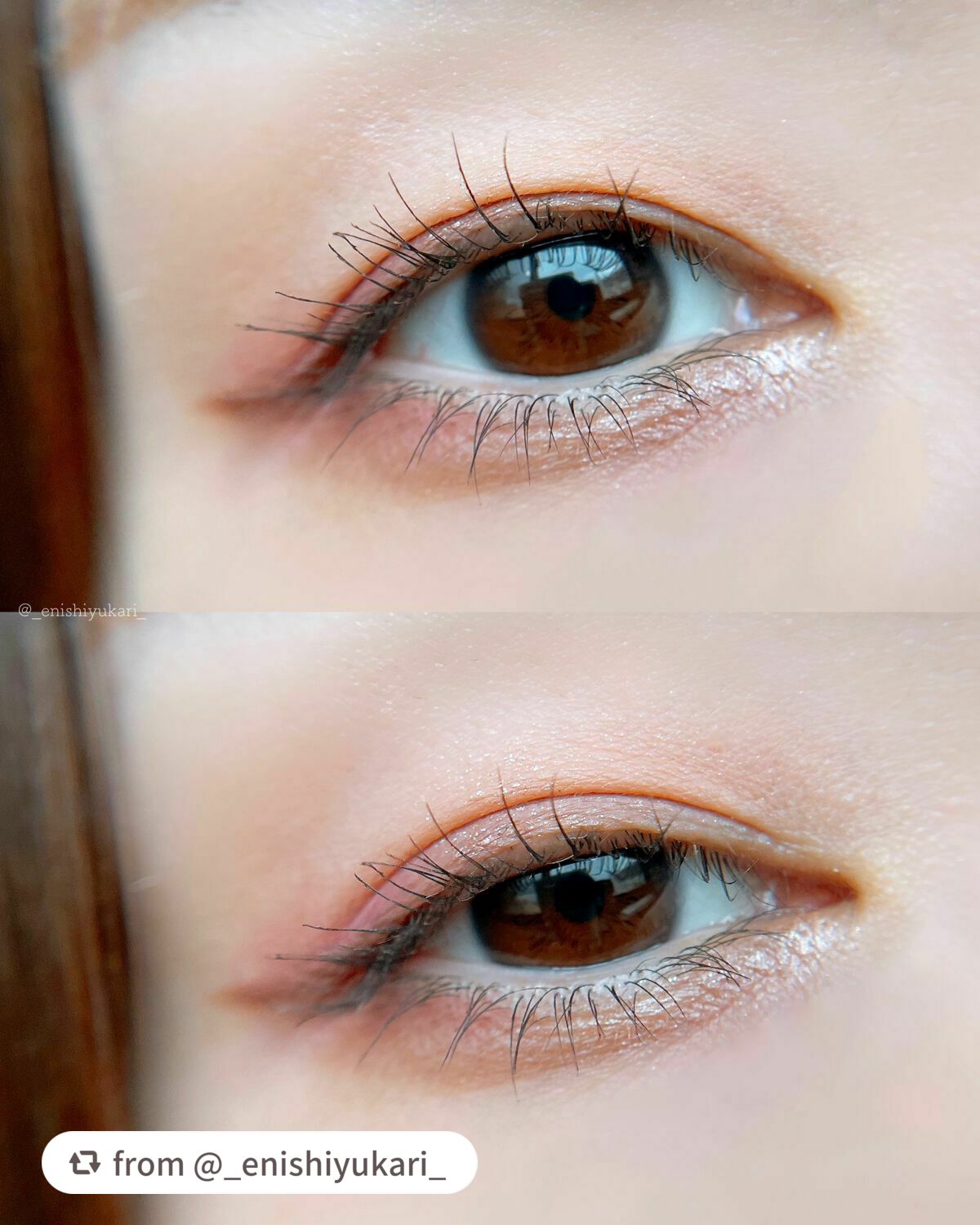 ちいかわ アイシャドウ/SHOBIDO/アイシャドウパレットを使ったクチコミ(6枚目)