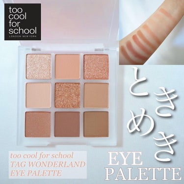 TAG WONDERLAND EYE PALETTE/too cool for school/パウダーアイシャドウを使ったクチコミ（1枚目）