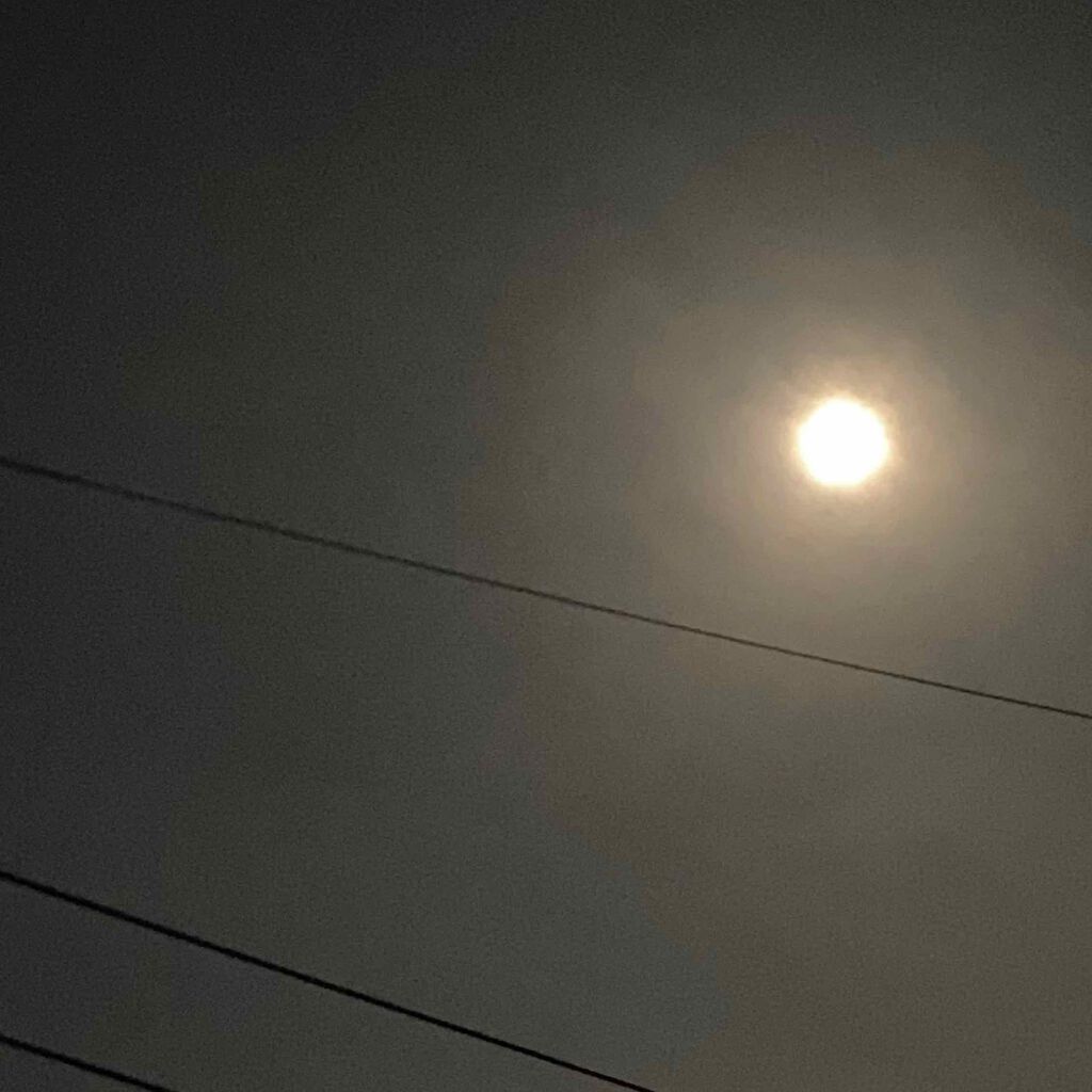 自己紹介/雑談/その他を使ったクチコミ（1枚目）