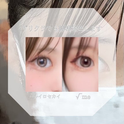 See Through Kristin/Hapa kristin/カラーコンタクトレンズを使ったクチコミ(4枚目)