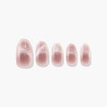 Champagne Blush