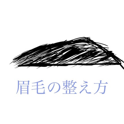 フェリエ フェイス用 ES-WF41/Panasonic/シェーバーを使ったクチコミ(1枚目)