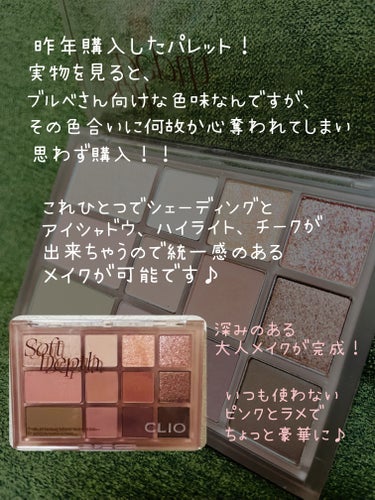 シェード アンド シャドウ パレット 02 SOFT DEPTH/CLIO/パウダーアイシャドウを使ったクチコミ（2枚目）